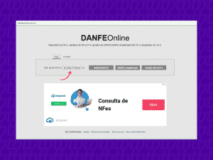 como acessar danfe online